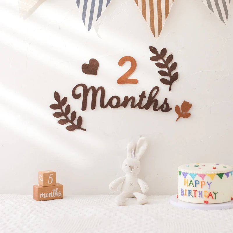 0-12 Months Newborn Prop Photography Milestone