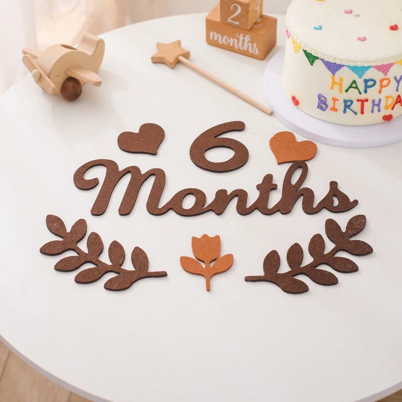 0-12 Months Newborn Prop Photography Milestone