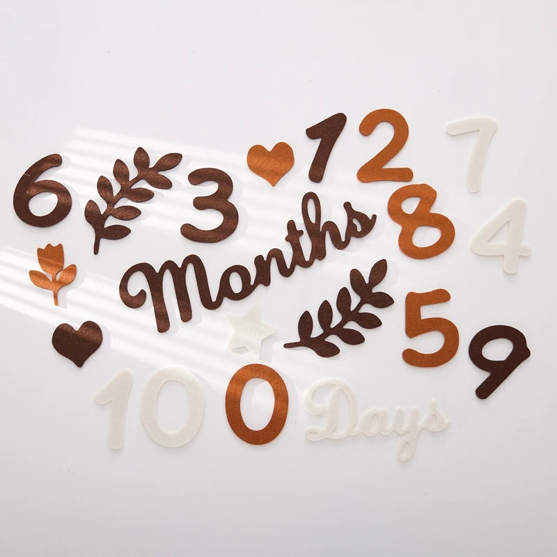 0-12 Months Newborn Prop Photography Milestone