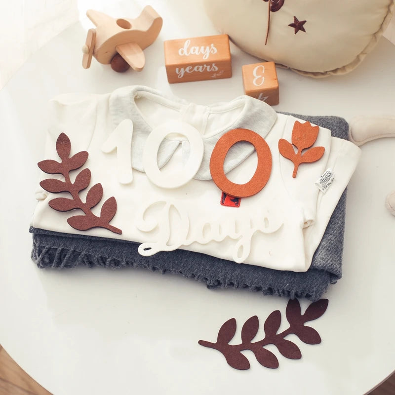 0-12 Months Newborn Prop Photography Milestone