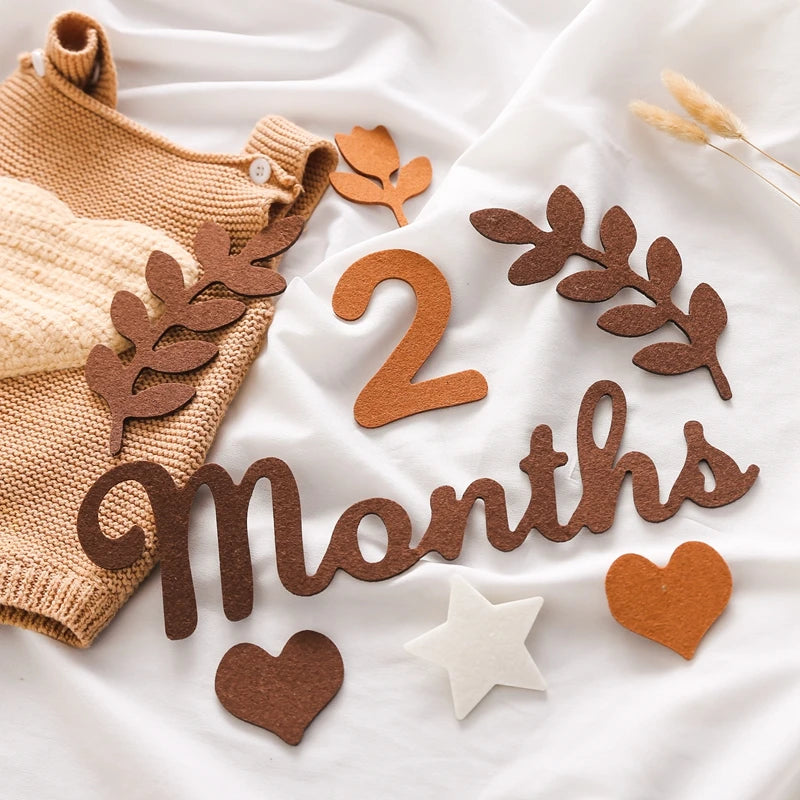 0-12 Months Newborn Prop Photography Milestone