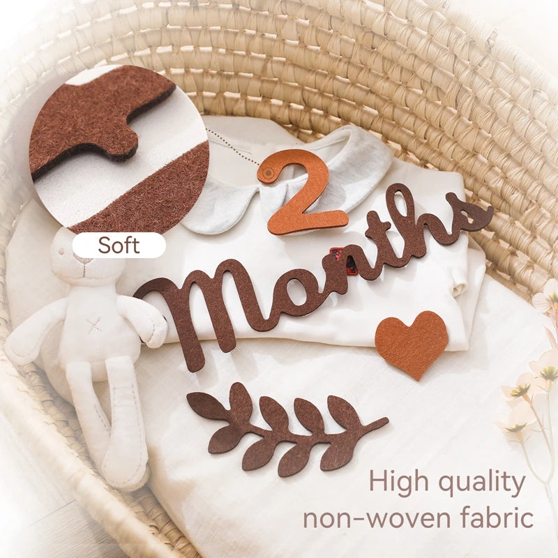 0-12 Months Newborn Prop Photography Milestone