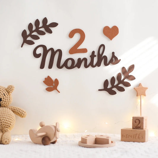 0-12 Months Newborn Prop Photography Milestone