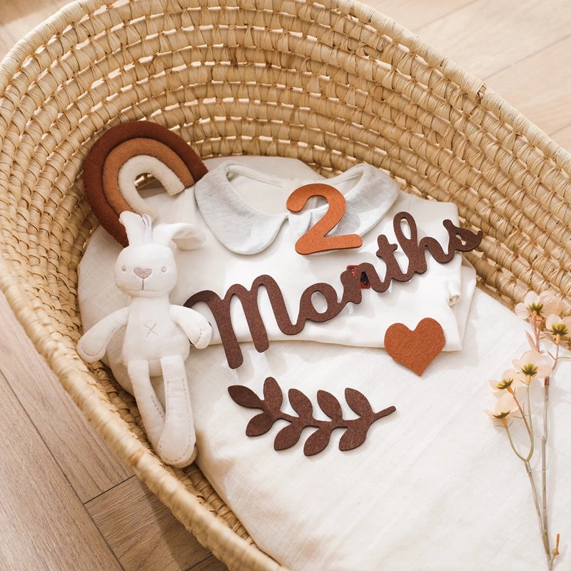 0-12 Months Newborn Prop Photography Milestone