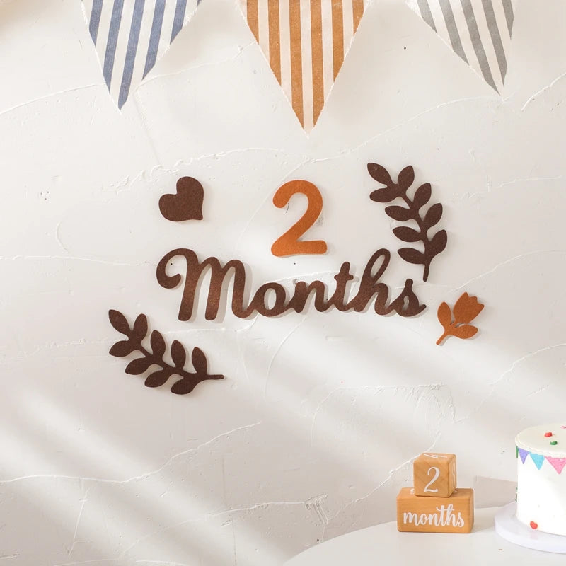 0-12 Months Newborn Prop Photography Milestone